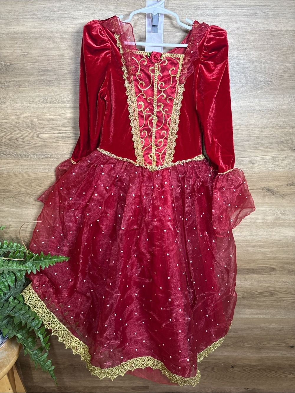 Disney Red Velvet & Gold Trim Princess Costume Dress